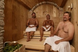 Hotel Alpenhof<br />
Sauna 